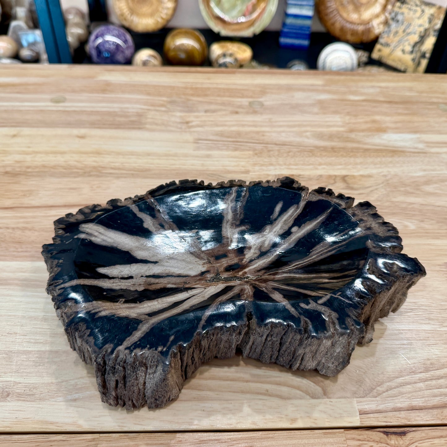 Reserve Indonesian Petrified Wood Rustic Bowl