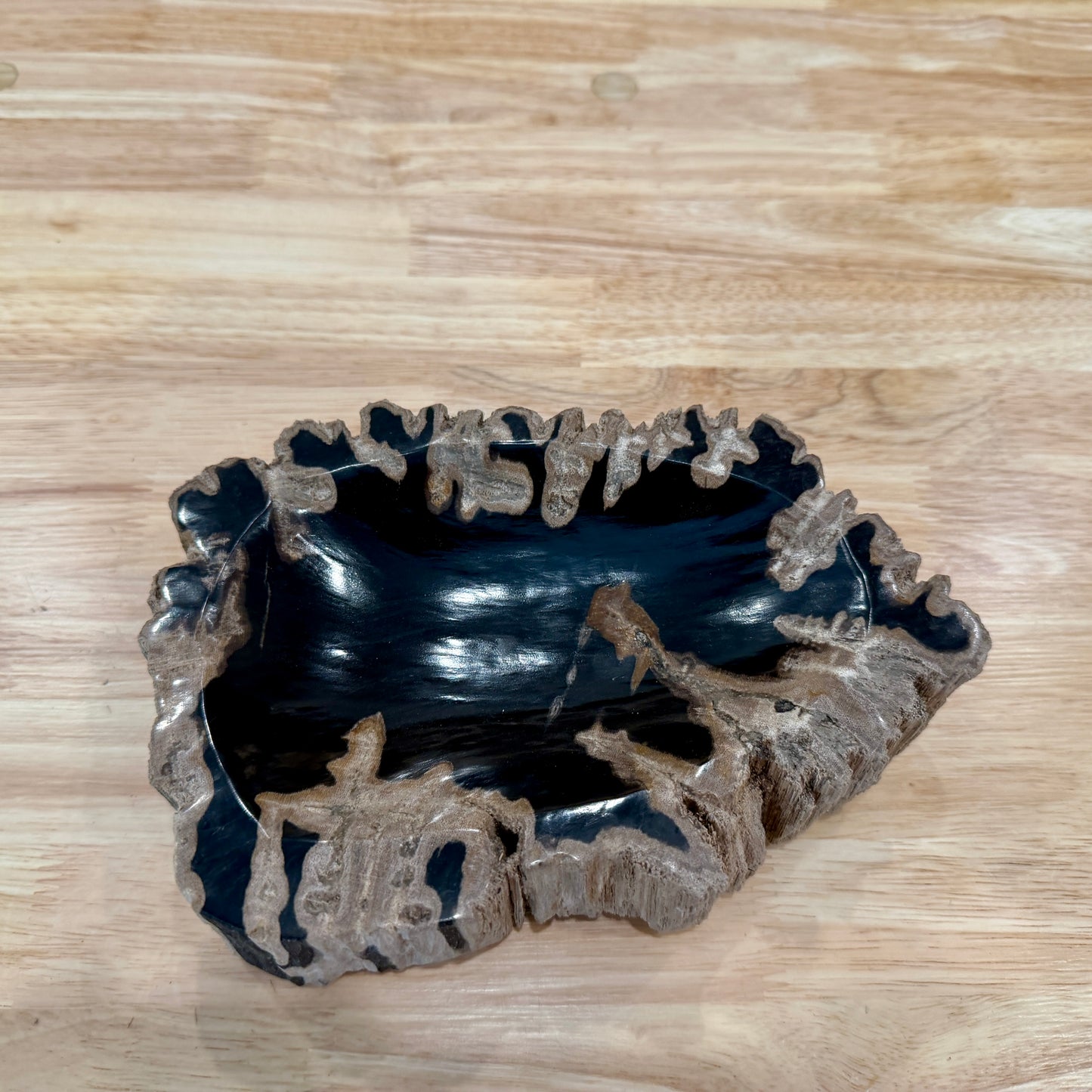 Reserve Indonesian Petrified Wood Rustic Bowl