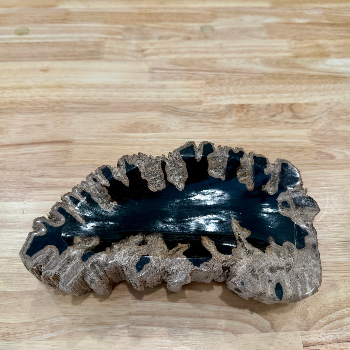 Reserve Indonesian Petrified Wood Rustic Bowl