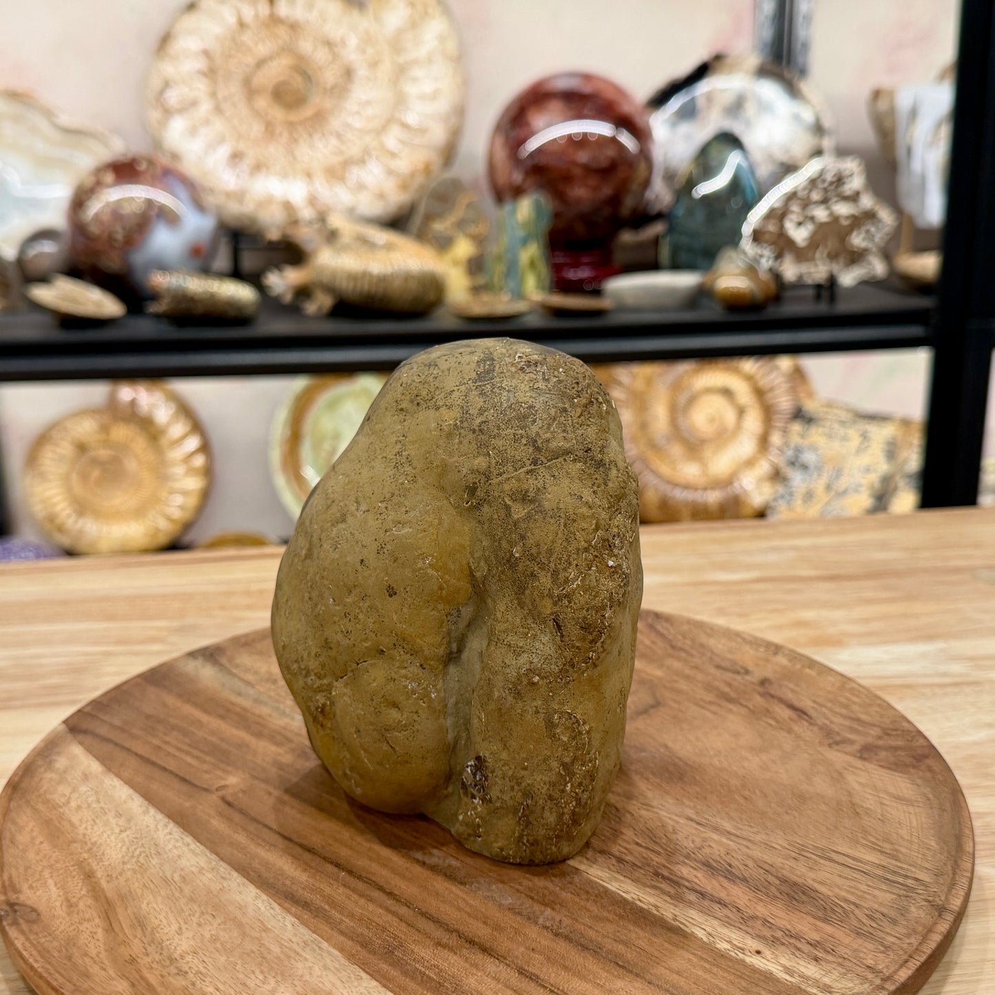 Utah Septarian Table Accent 5.18"