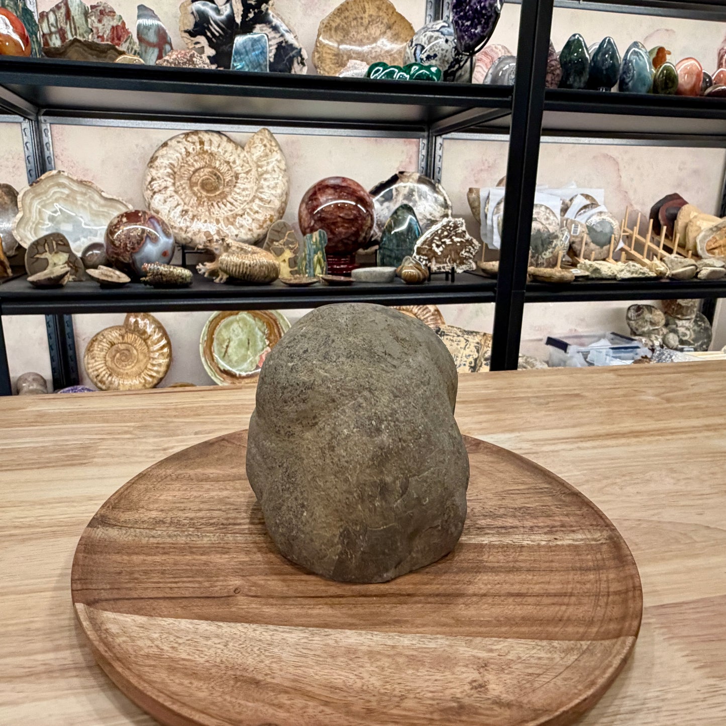 Utah Septarian Table Accent 4.72"
