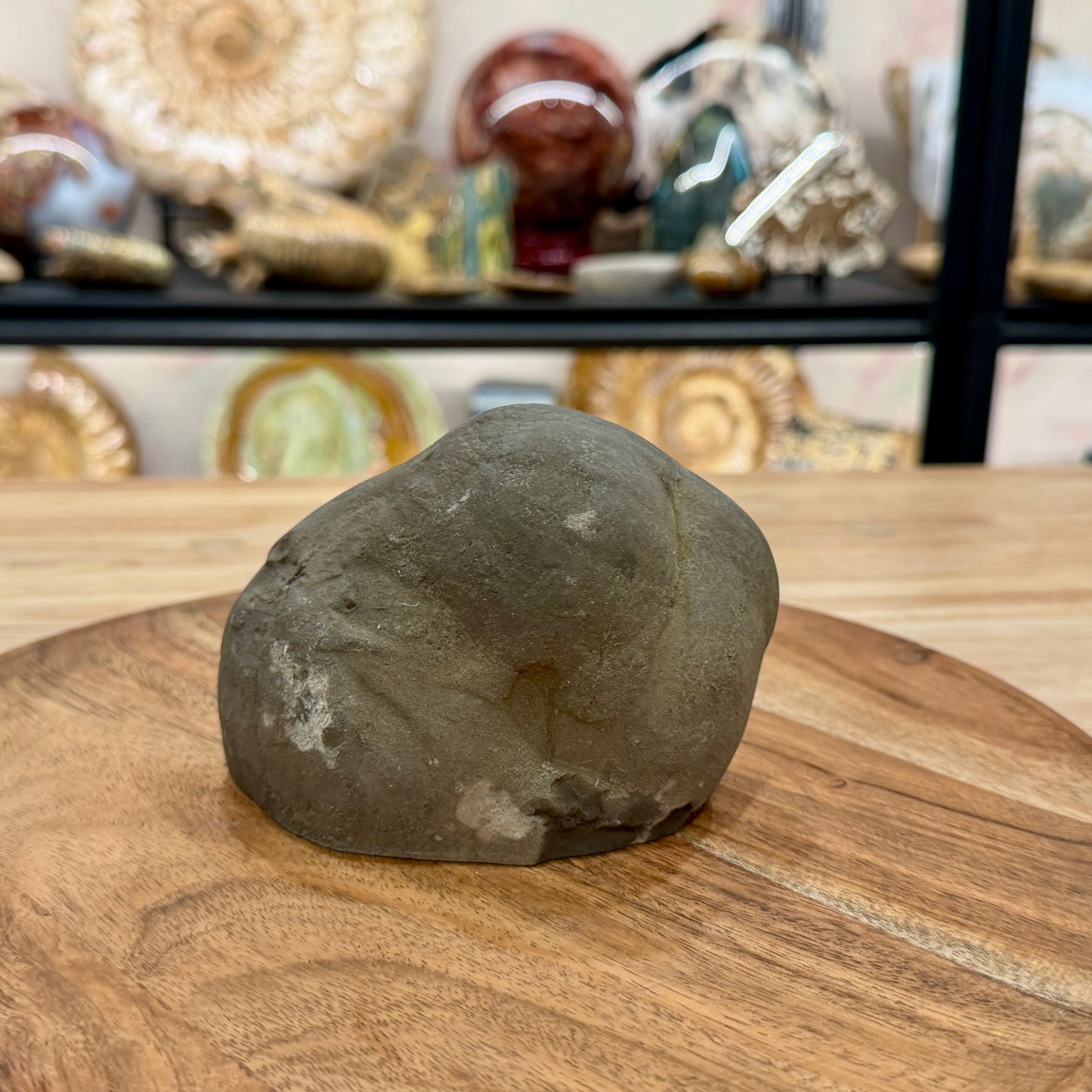 Utah Septarian Table Accent 4.75"