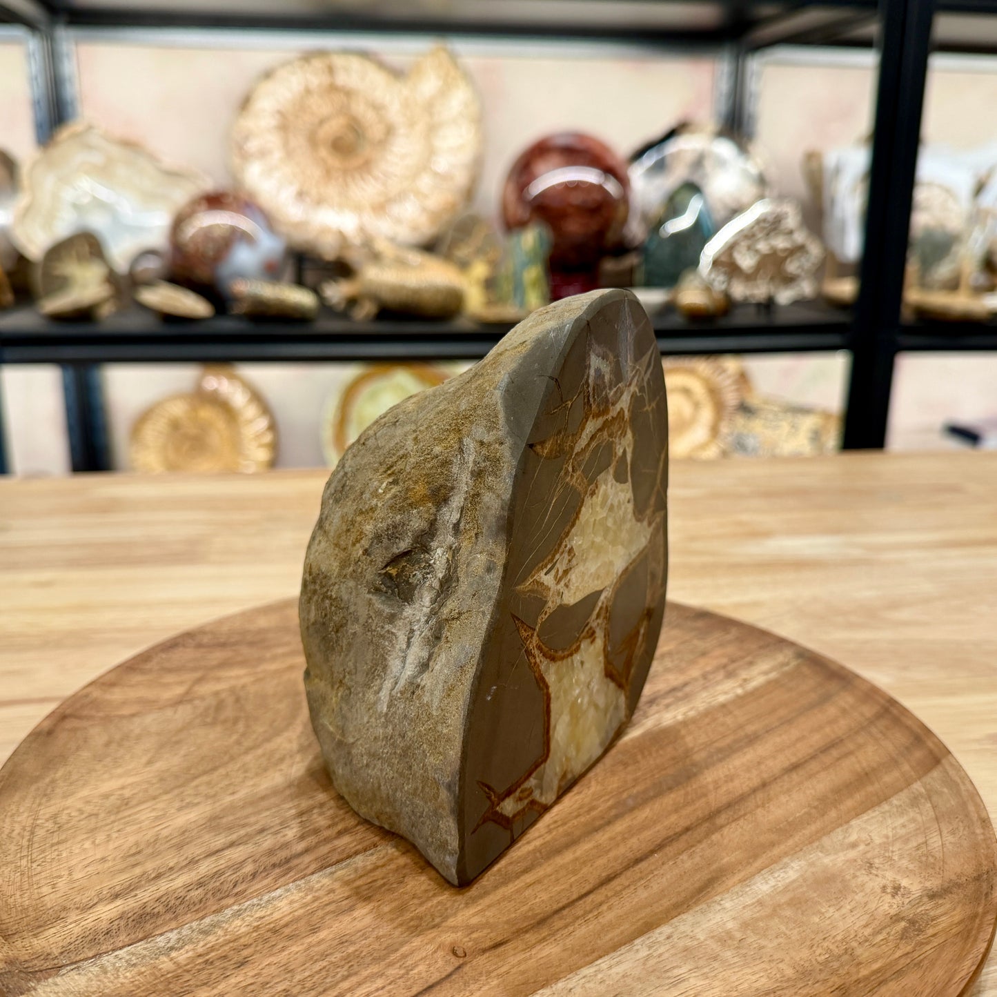 Utah Septarian Table Accent 5.54"