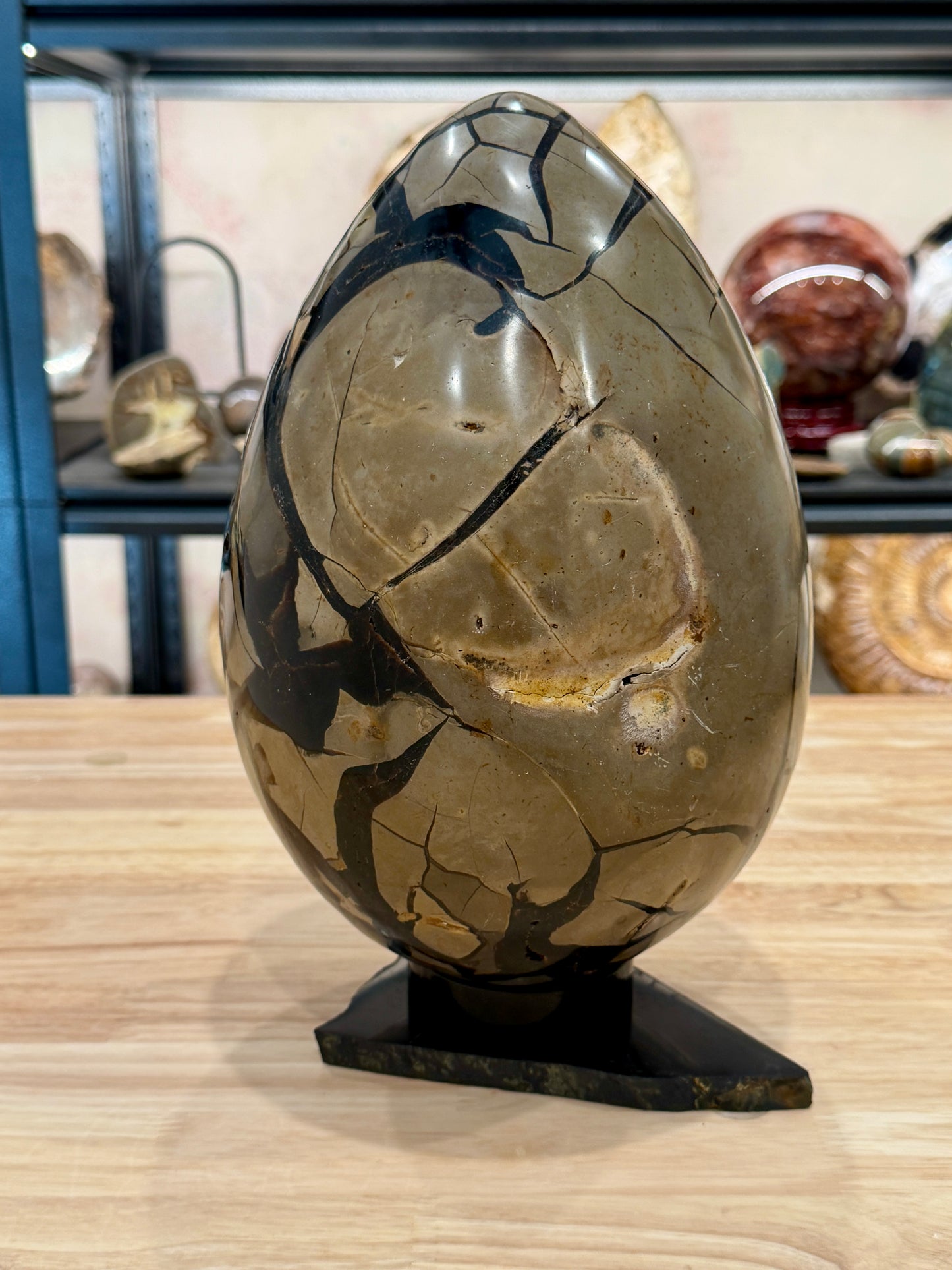 Septarian Geode Egg 10" + Stand | Black Druzy Crystal Cave