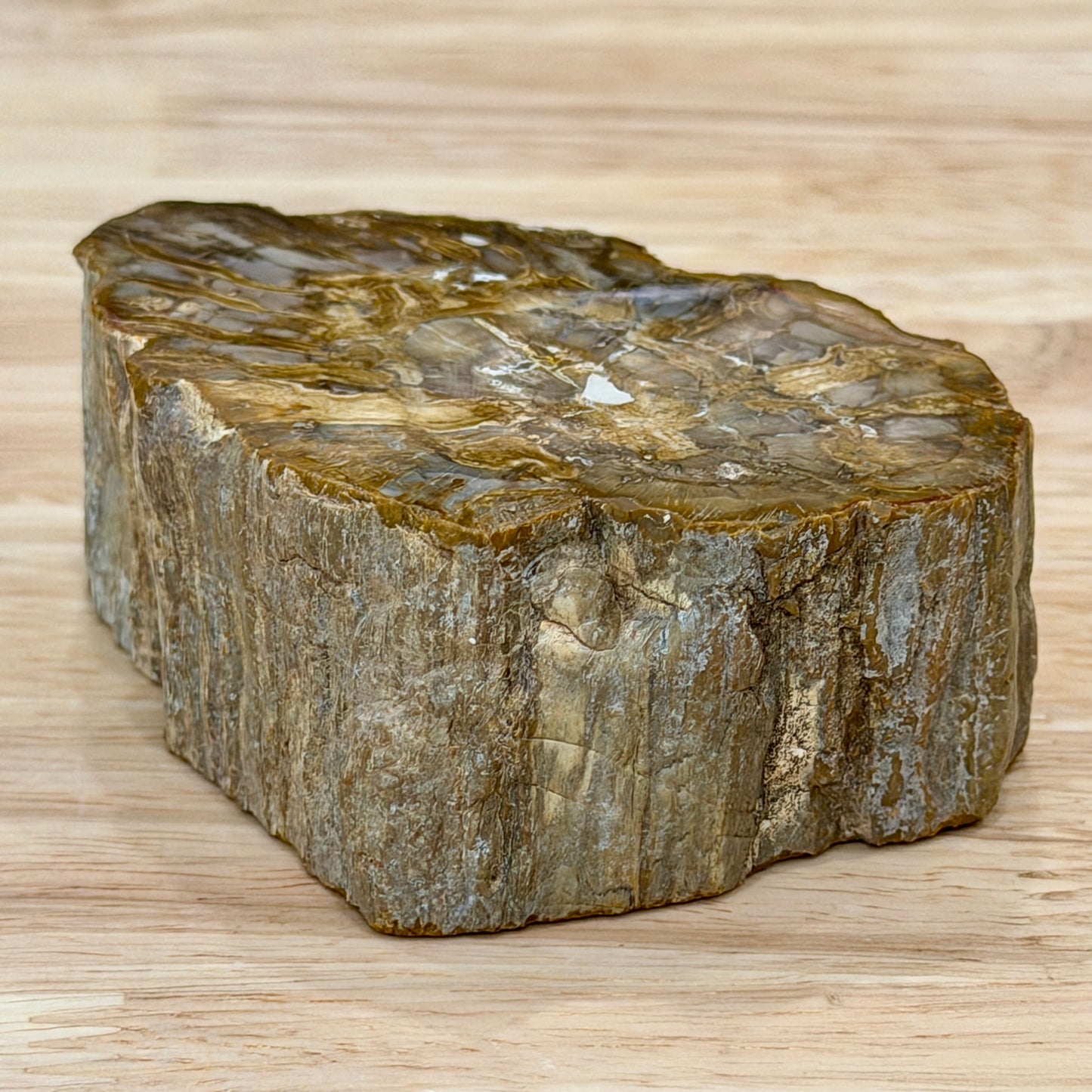 Petrified Wood Mini Stump Accent 3.4"