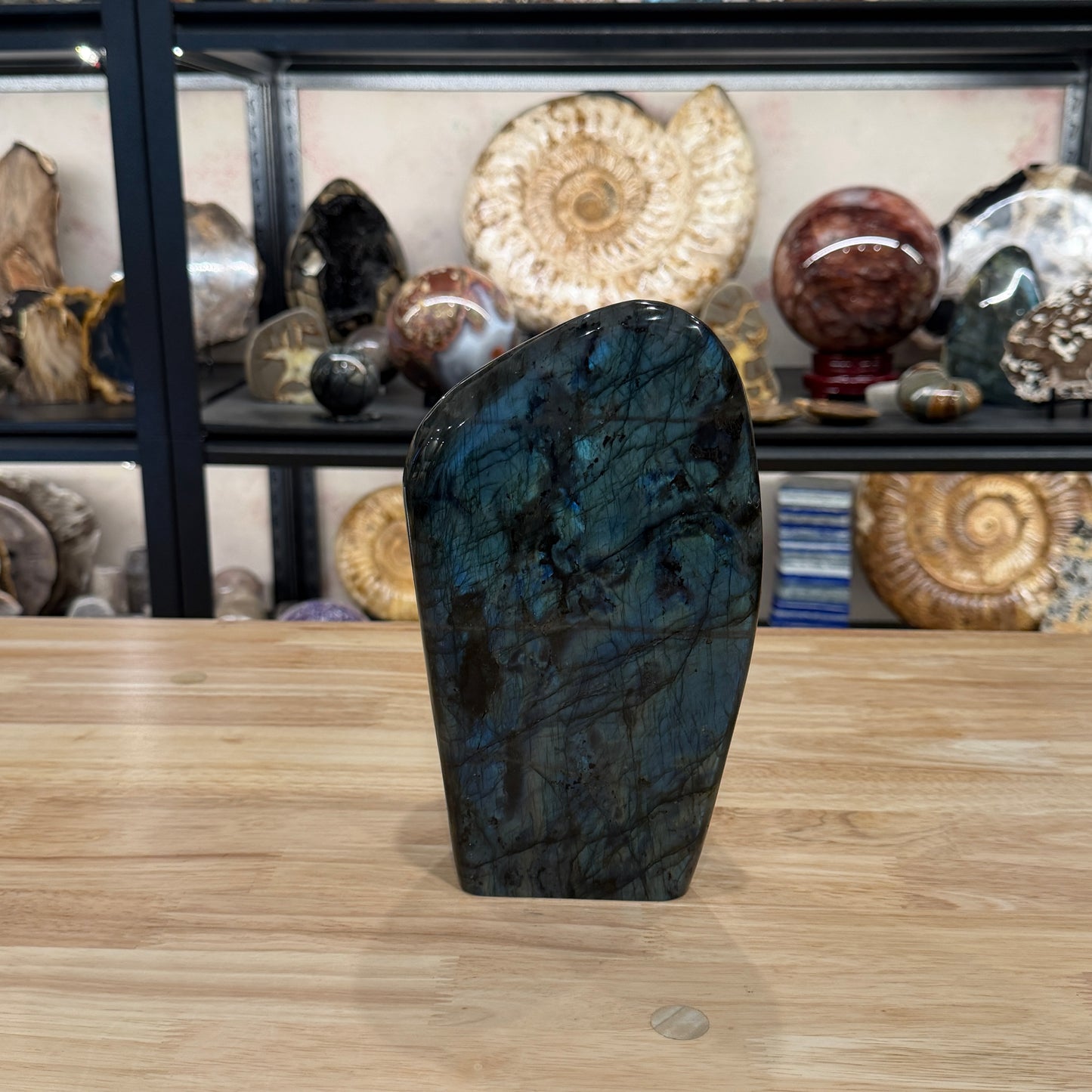 Reserve Labradorite Table Accent 9"