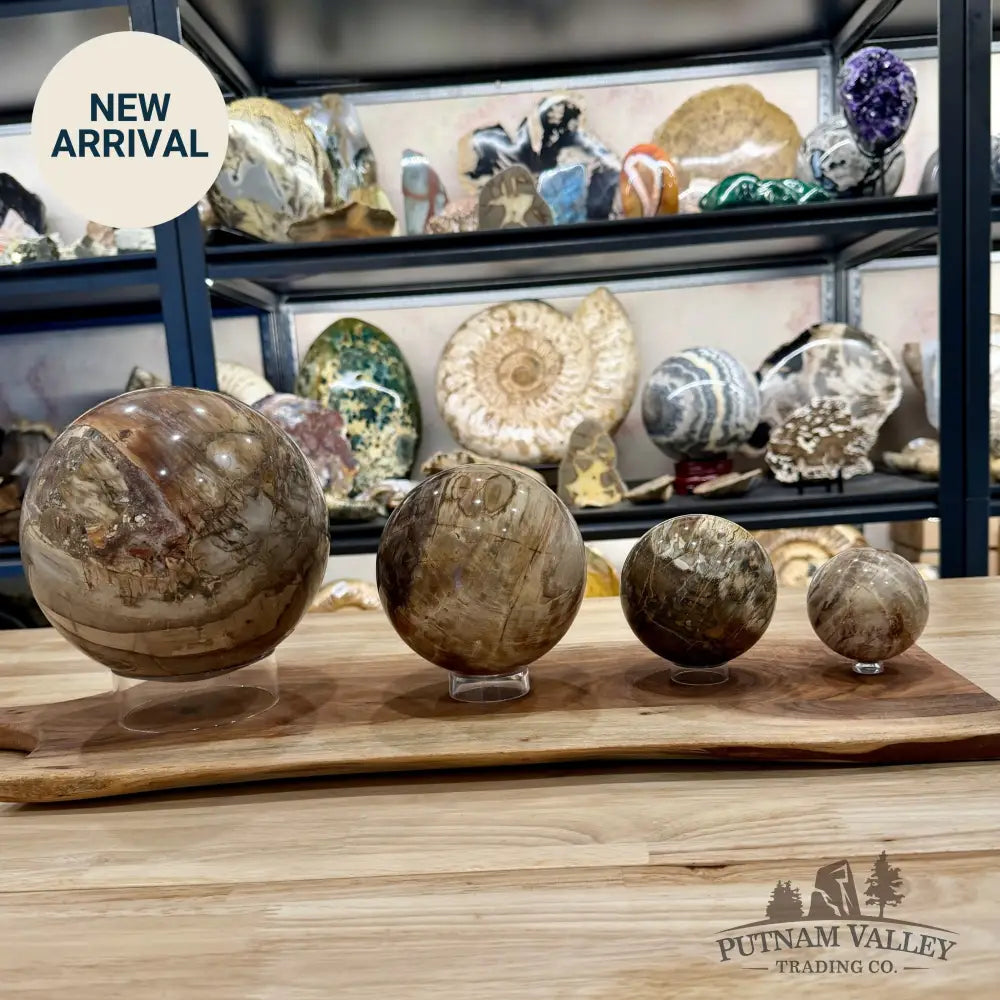 Acrylic Sphere Stand - Stands & Accessories