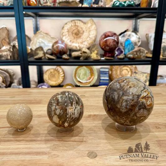 Acrylic Sphere Stand - Stand