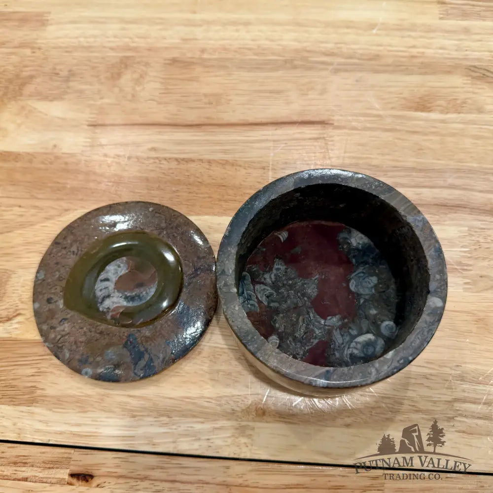 Ammonite & Orthoceras Round Fossil Keepsake Box 4.3’’ - Fossil Trinket Box