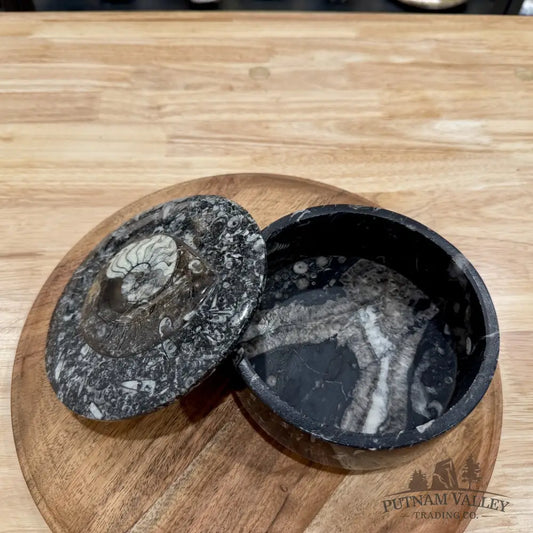 Ammonite & Orthoceras Round Fossil Keepsake Box 5.75’’ | Morocco - Fossil Trinket Box