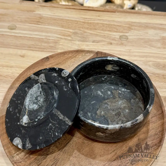 Ammonite & Orthoceras Round Fossil Keepsake Box 5.75’’ | Morocco - Fossil Trinket Box