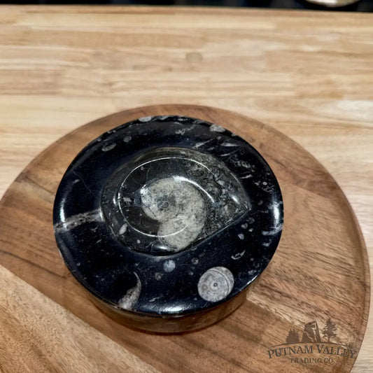 Ammonite & Orthoceras Round Fossil Keepsake Box 5.75’’ | Morocco - Fossil Trinket Box