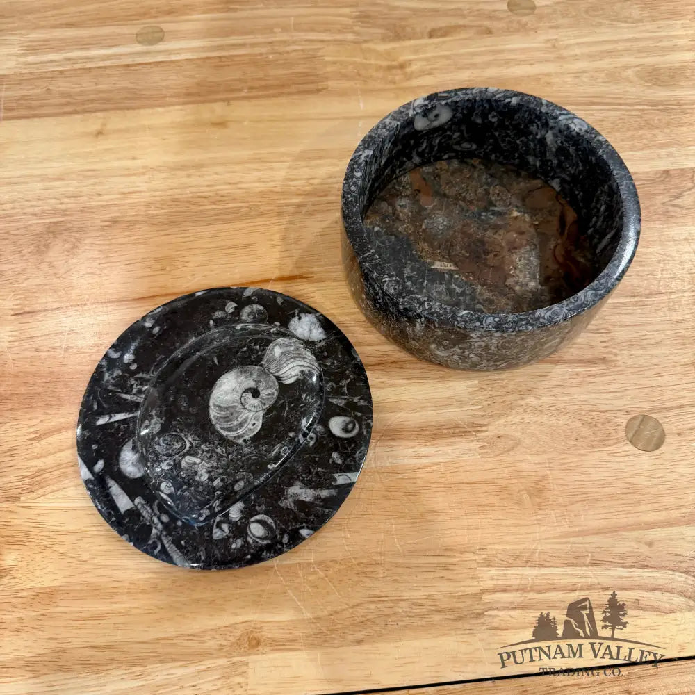 Ammonite & Orthoceras Round Fossil Keepsake Box 5.75’’ - Fossil Trinket Box
