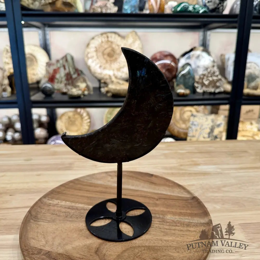 Astrophyllite Moon + Stand 9.75’’ 1.26 - Moon