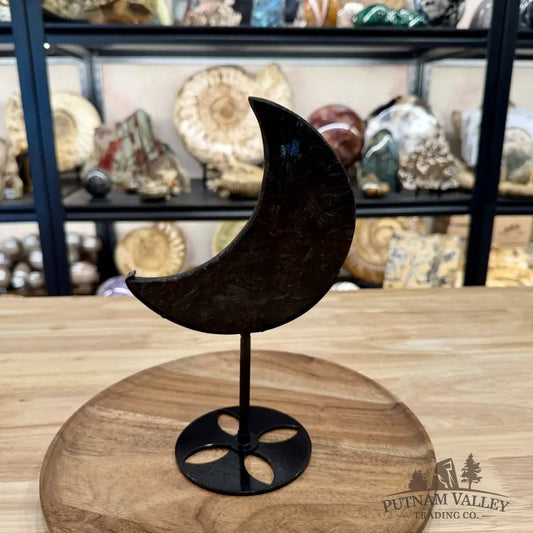 Astrophyllite Moon + Stand 9.75’’ 1.26 - Moon