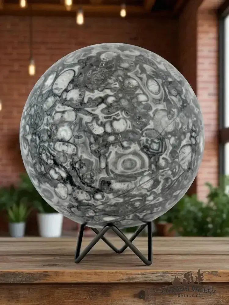 Authentic Conch Fossil Sphere 6.3" - Putnam Valley Trading Co.