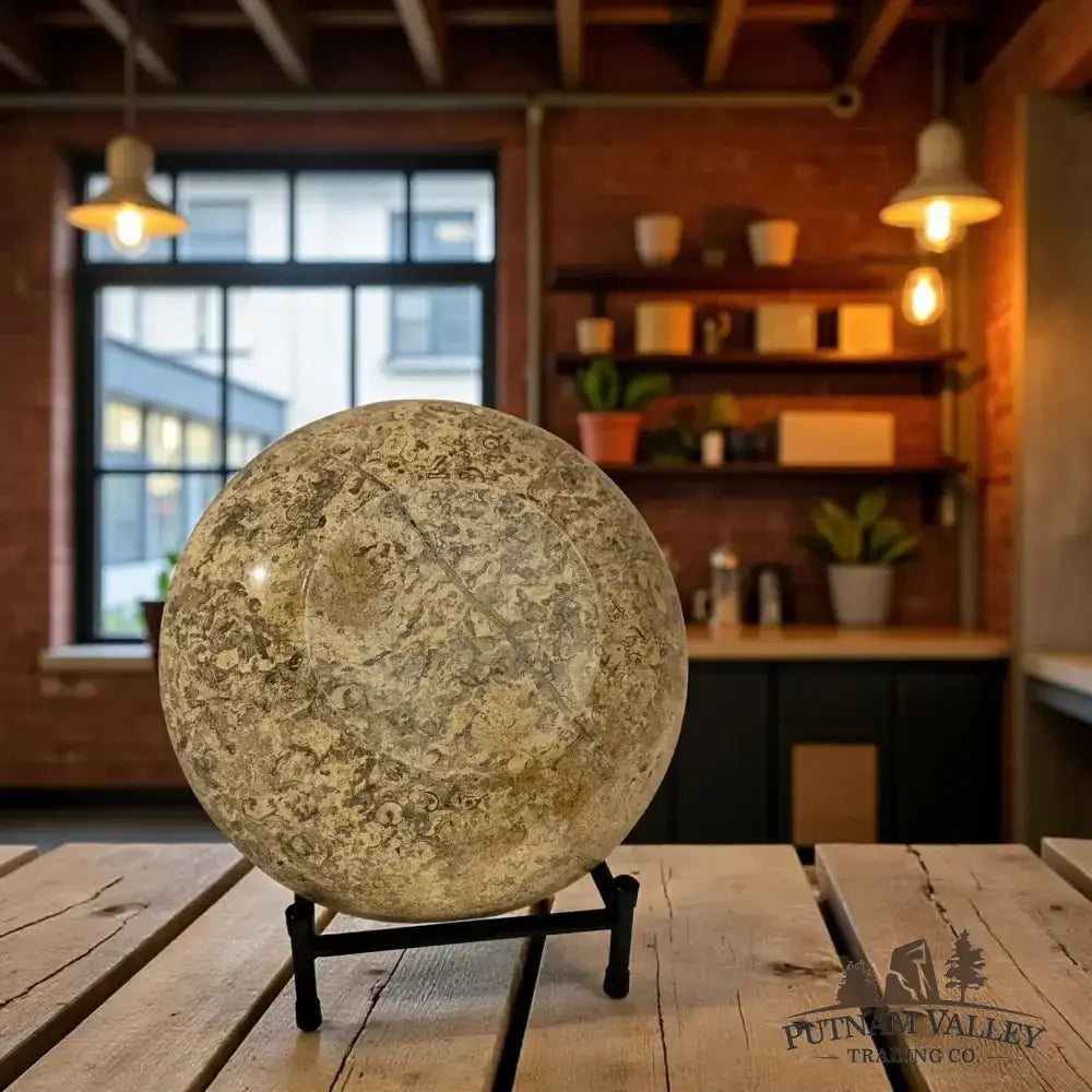 Authentic Fossil Marble Bowl 10" - Putnam Valley Trading Co.