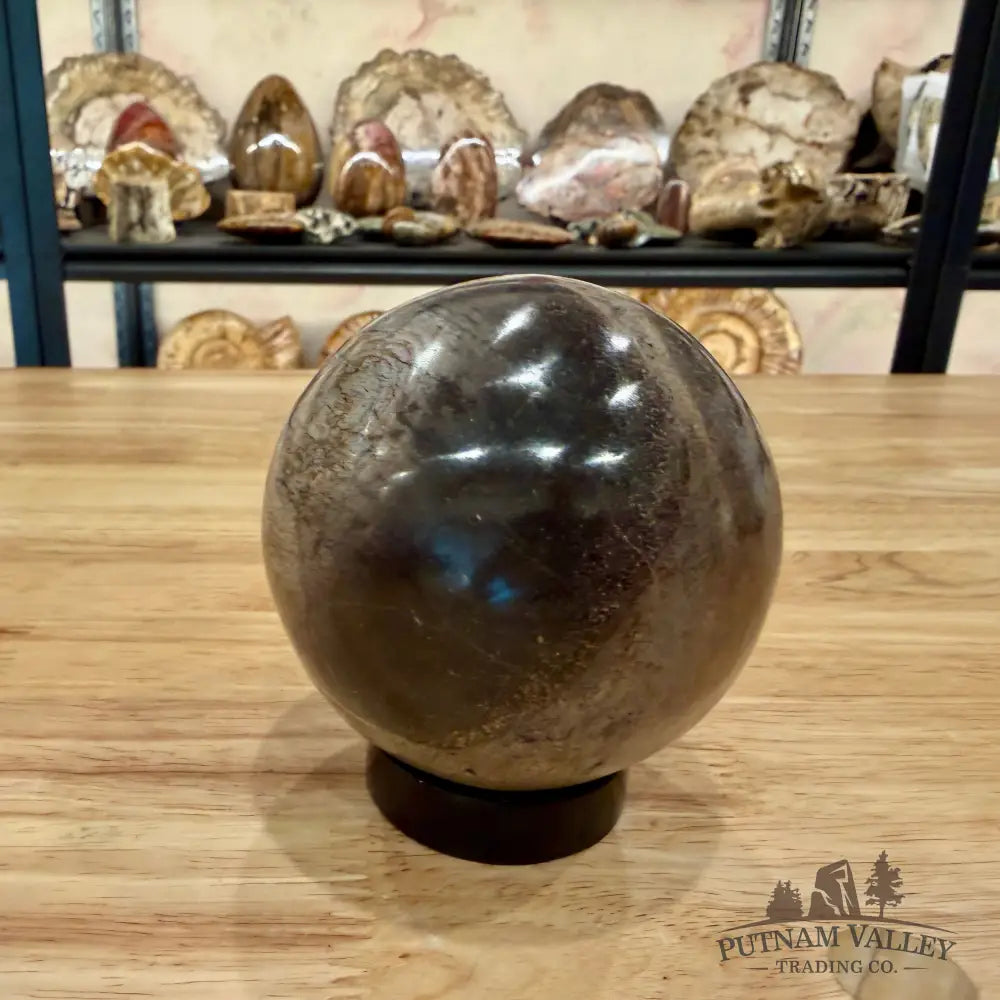 Authentic Fossilized Dinosaur Bone Sphere 3.36’’ Fossil Sphere