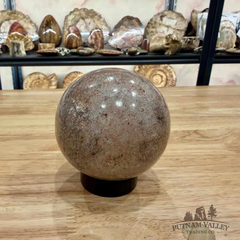 Authentic Fossilized Dinosaur Bone Sphere 3.44’’ Fossil Sphere