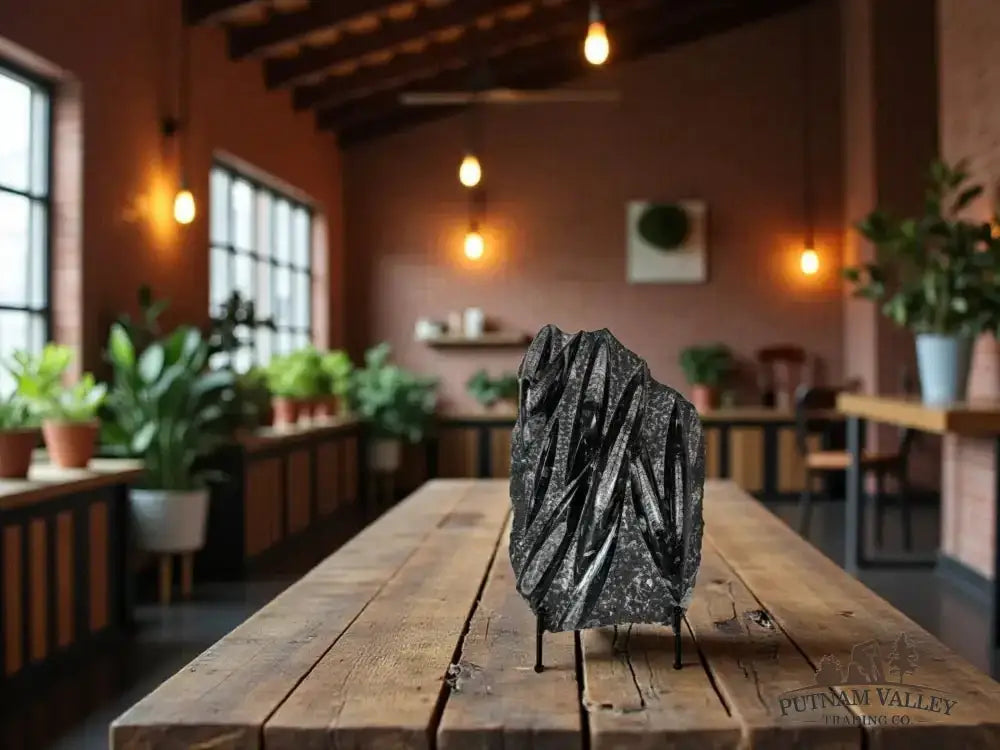 Authentic Orthoceras Fossil Slab Detail View - Putnam Valley Trading