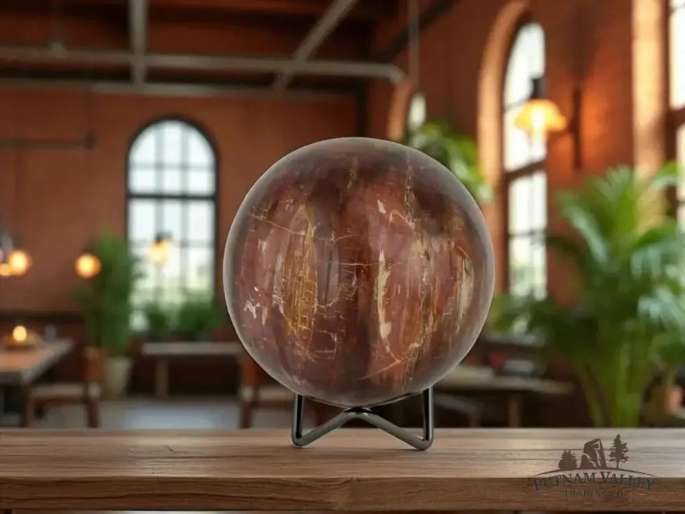 Authentic Petrified Wood Sphere 3.9" - Putnam Valley Trading Co.