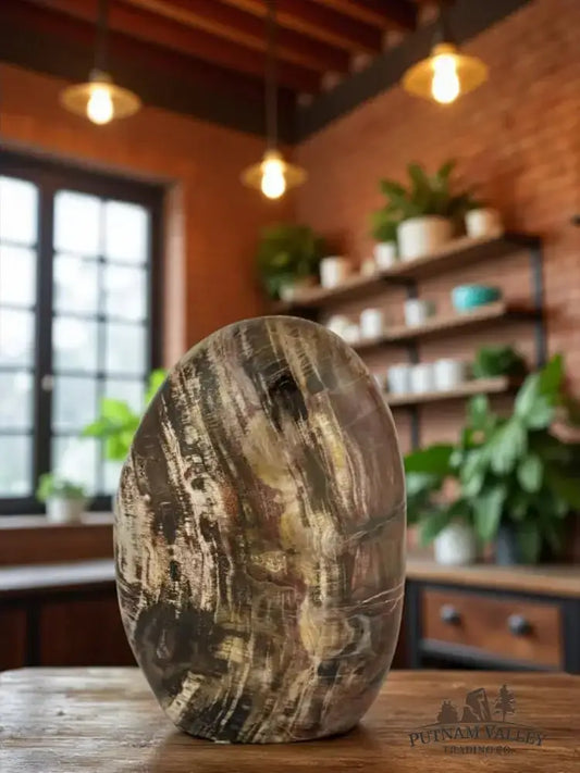 Authentic Petrified Wood Table Accent - Putnam Valley Trading Co.