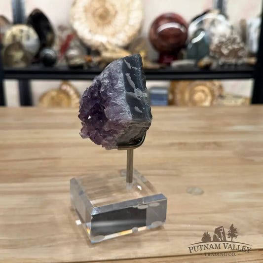 Brazilian Amethyst Cluster on Stand 6’’ - Accent
