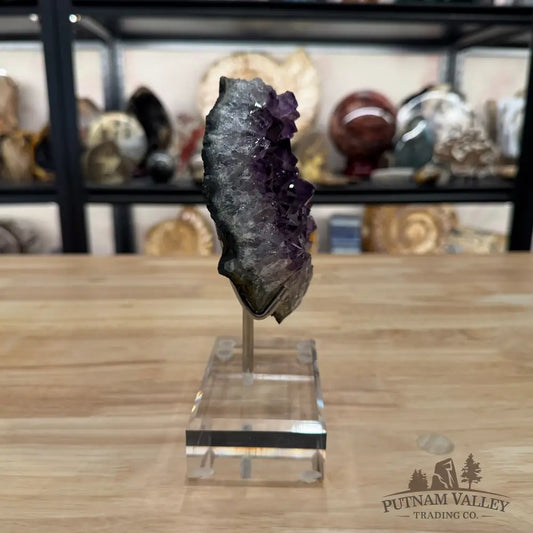 Brazilian Amethyst Cluster on Stand 7.5’’ - Accent