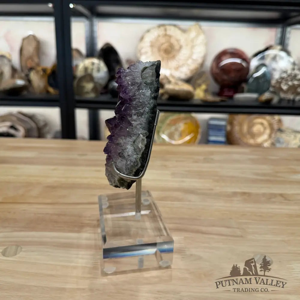 Brazilian Amethyst Cluster on Stand 7.5’’ - Accent