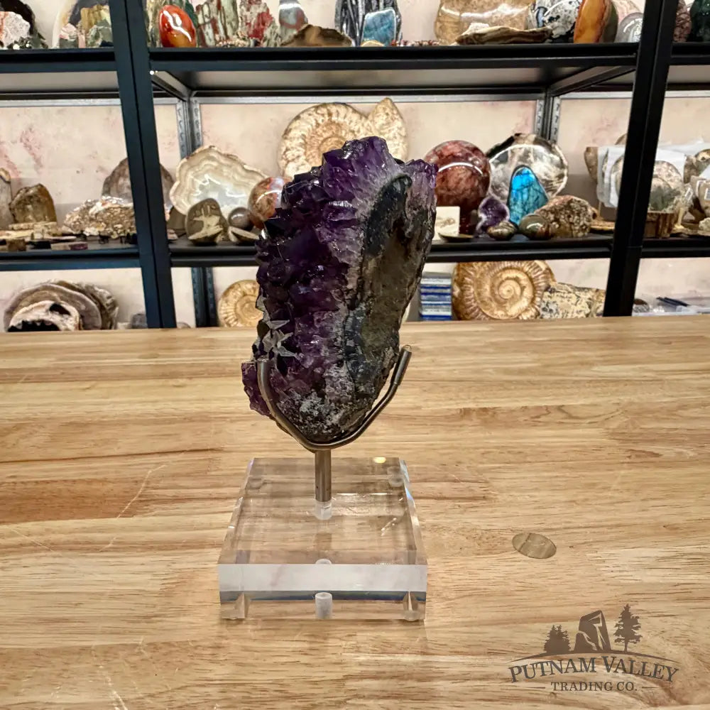 Brazilian Amethyst Cluster on Stand 7’’ - Accent