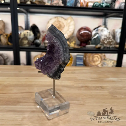 Brazilian Amethyst Cluster on Stand 8.1’’ - Accent