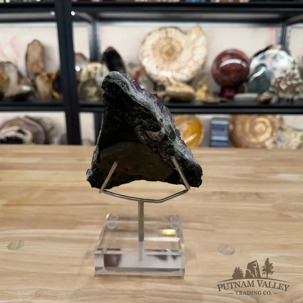 Brazilian Amethyst Cluster on Stand 8.25’’ - Accent