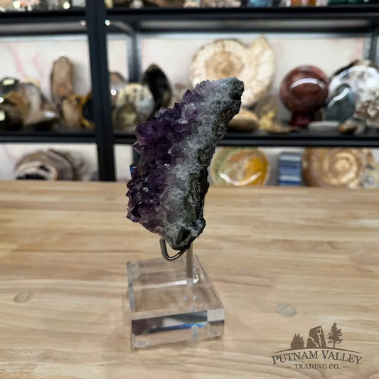 Brazilian Amethyst Cluster on Stand 8.25’’ - Accent
