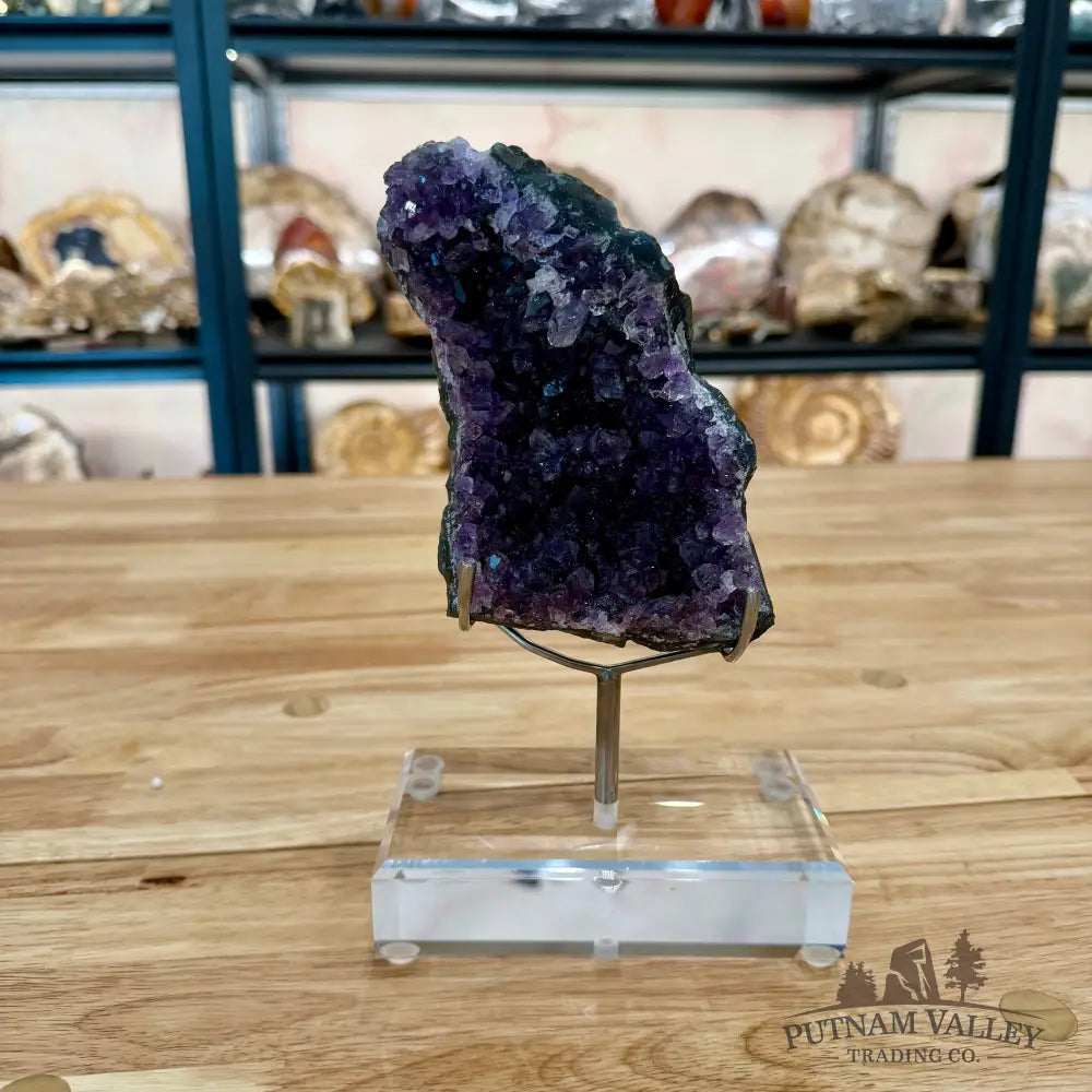 Brazilian Amethyst Cluster on Stand 8.5’’ Accent