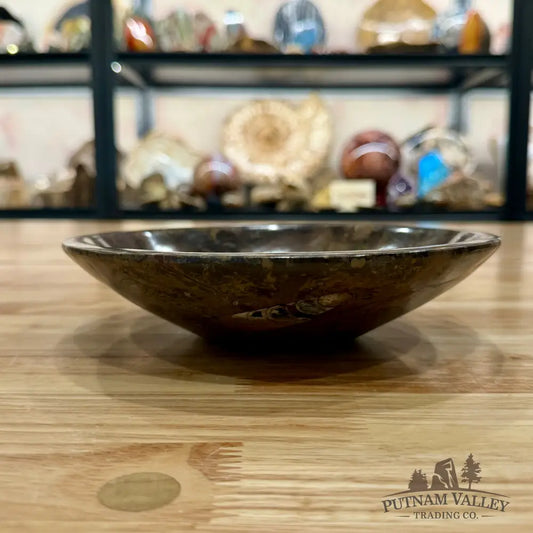 Brown Orthoceras Fossil Bowl 8’’ - Fossil Bowl