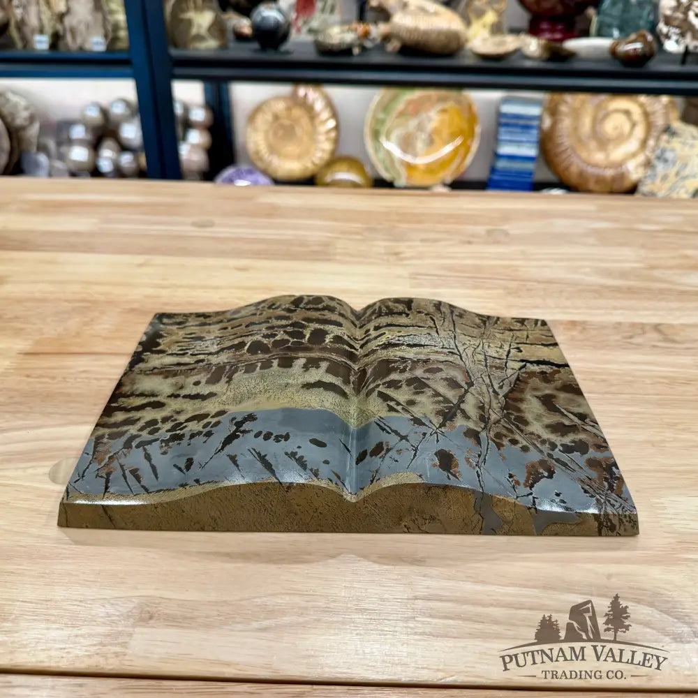 Chinese Picture Jasper Book Carving + Stand - Accent