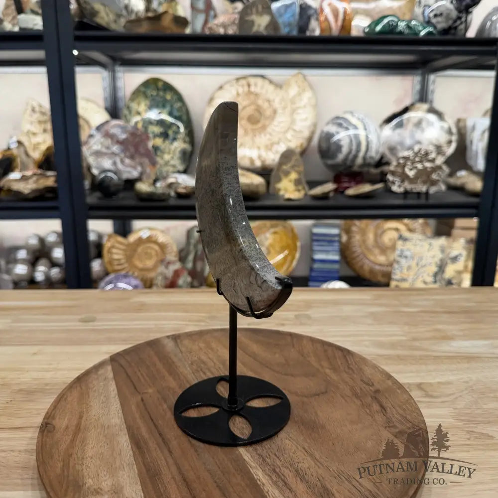 Chinese Picture Jasper Moon + Stand - Accent