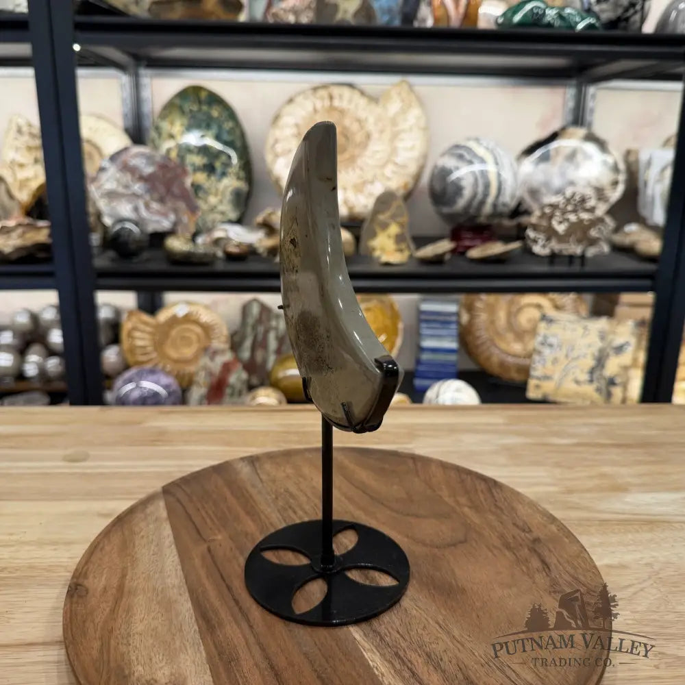 Chinese Picture Jasper Moon + Stand - Accent