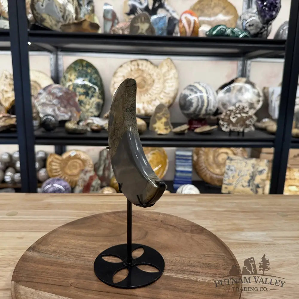 Chinese Picture Jasper Moon + Stand - Accent