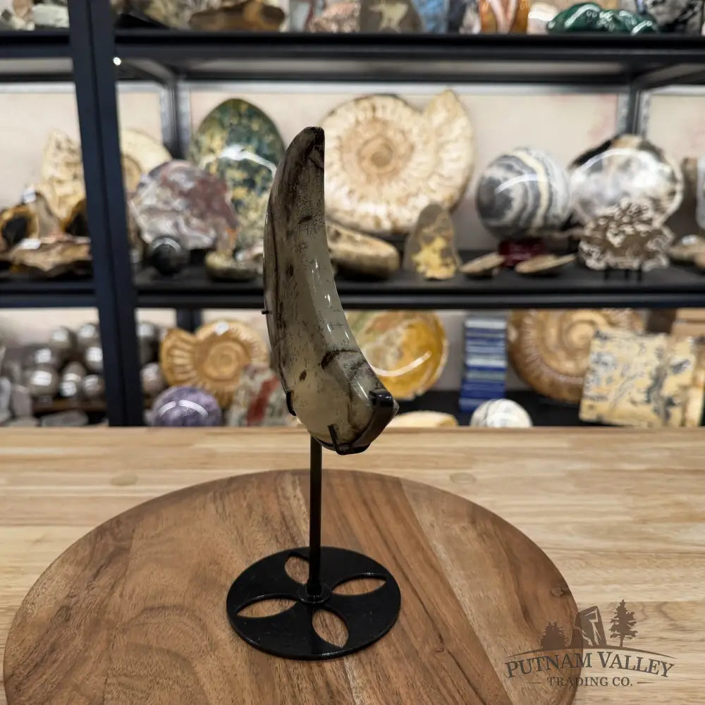 Chinese Picture Jasper Moon + Stand - Accent