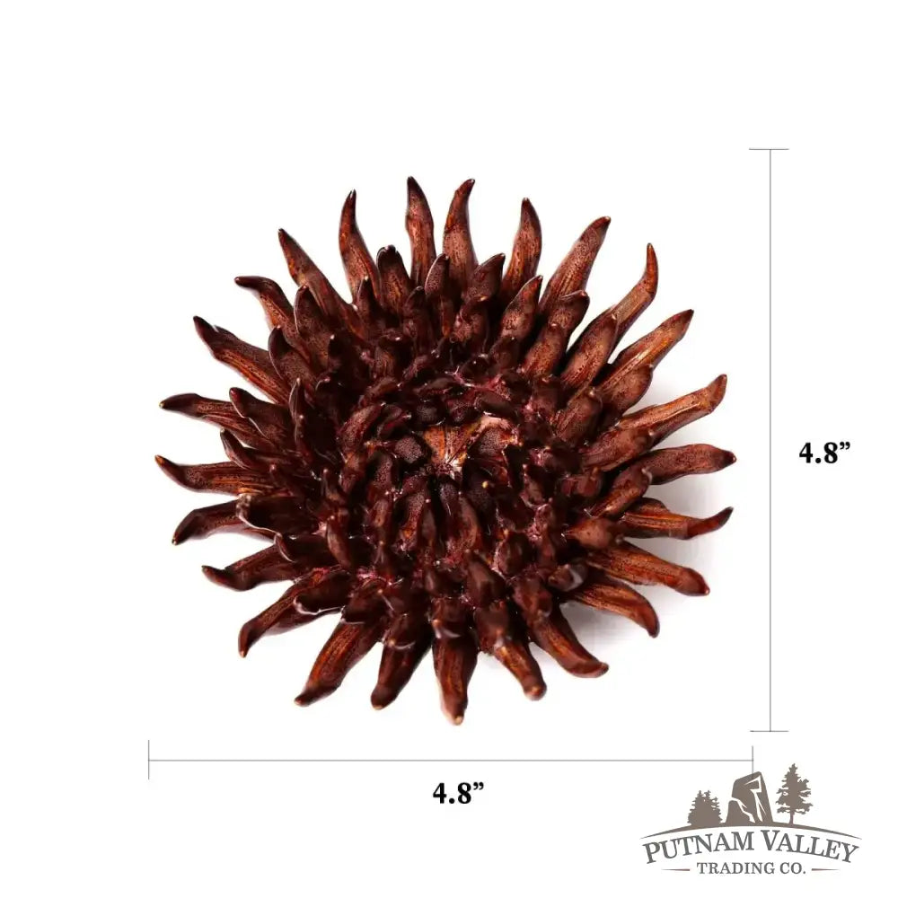 Ceramic Flower Wall Art Mum Chocolate 5 Accent