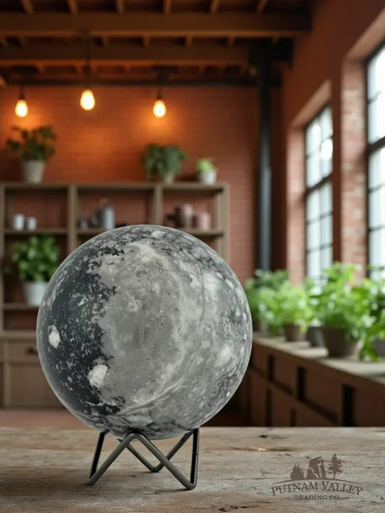 Conch Fossil Sphere Sphere