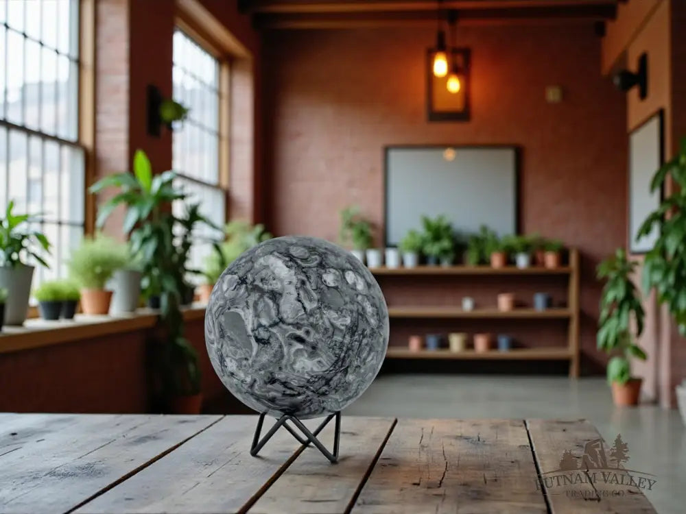 Conch Fossil Sphere Sphere