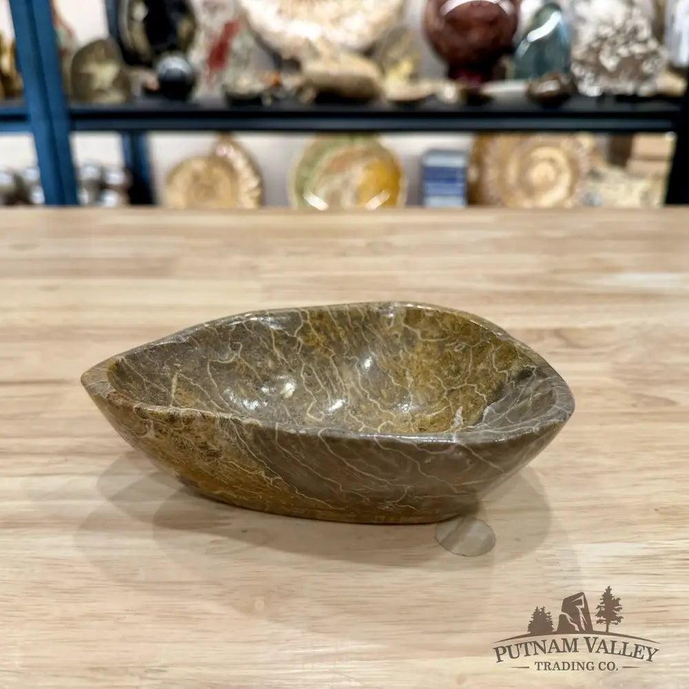 Coral Fossil Bowl 6.17’’ - Fossil Bowl