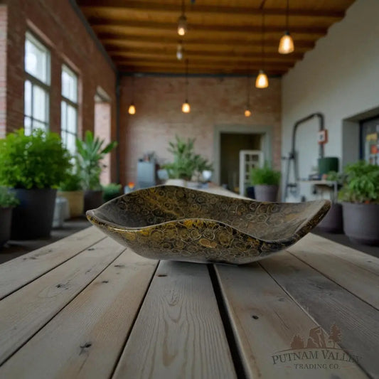 Coral Fossil Bowl Fossil Bowl