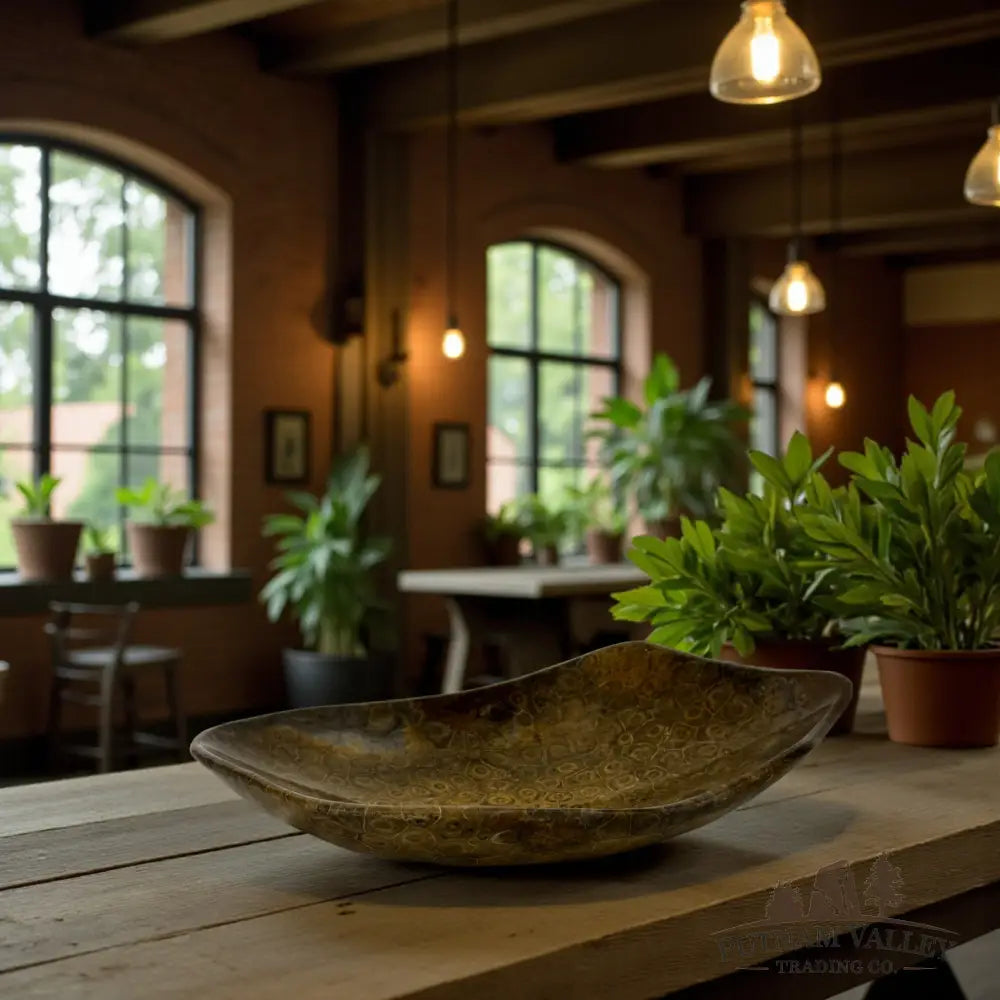 Coral Fossil Bowl Fossil Bowl