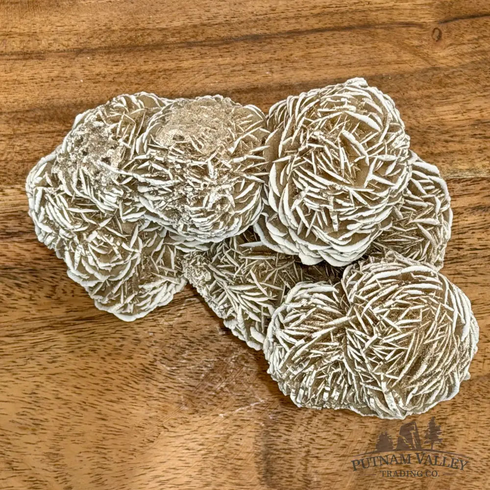 Desert Rose Selenite Cluster 5.4’’ - Accent