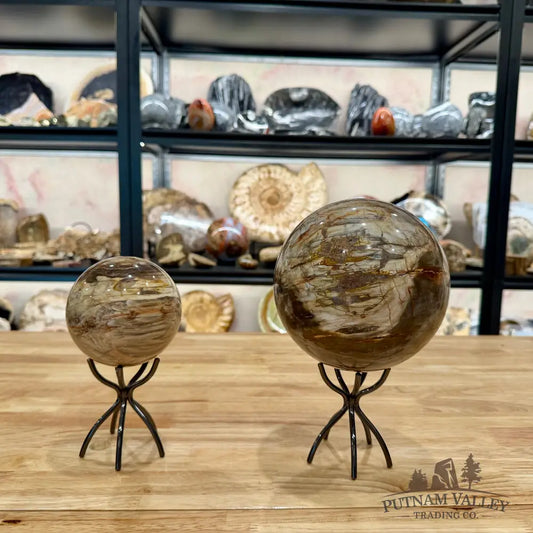 Five-Point Metal Sphere Stand Display Stands