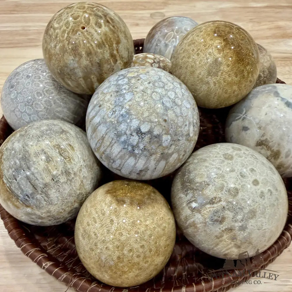 Fossil Coral Spheres | Indonesia - 2’’ - 2.4’’ - Sphere