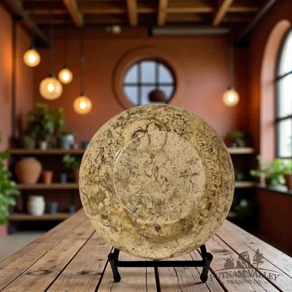 Fossil Marble Bowl - 10 Fossil Bowl